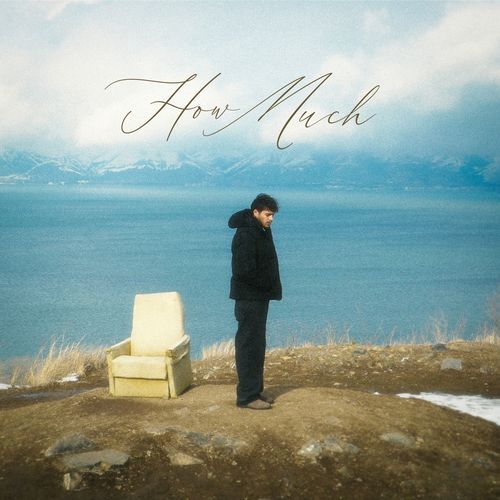 How Much cover art