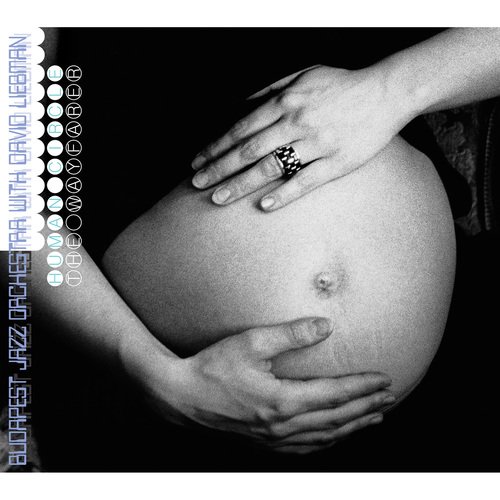 Human Circle - The Wayfarer