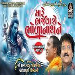 Mare Bhajva Chhe Bholanath Ne