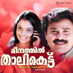 Meenathil Thaalikettu