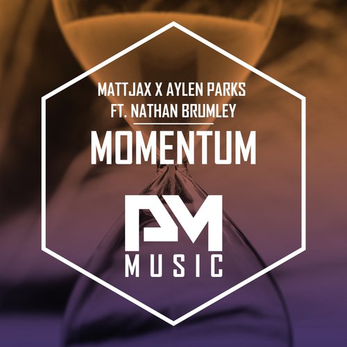 Momentum (Radio Edit)_poster_image