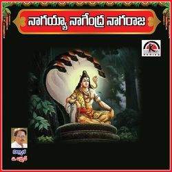 Nagayya Nagendra Naagaraja-RDkYVR1DZFY