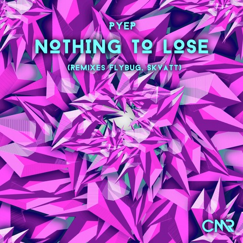 Nothing To Lose