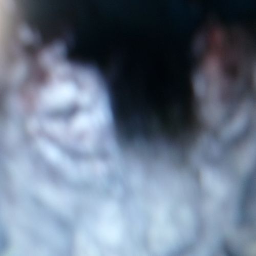 Pasadena Humane Society (Wilfire Aid) cover art