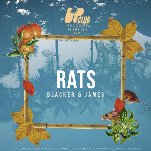 Rats_poster_image