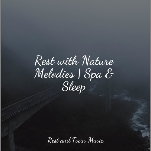 Rest with Nature Melodies | Spa & Sleep