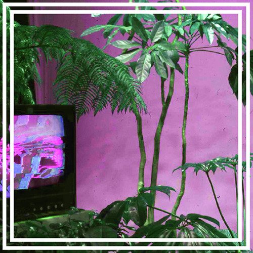 Costa cover art