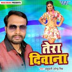 Tera Deewana