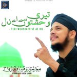 Teri Wehshato Se Ae Dil