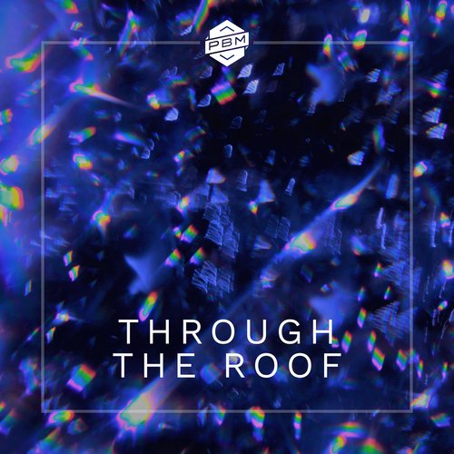 Through the Roof_poster_image