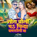 Tora Choli Pa Fida Chamartoli Ba artwork