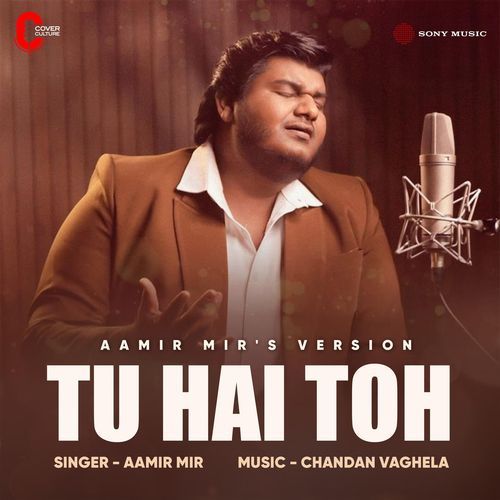 Tu Hai Toh (Aamir Mir Version) cover art