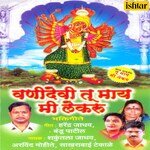 Vanidevi Tu Maay Mi Lekaru