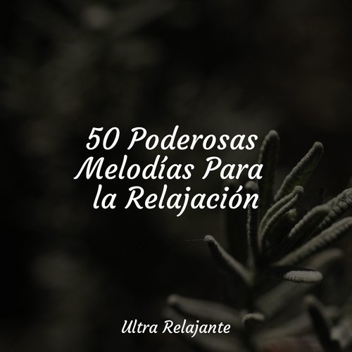 50 Poderosas Melodías Para la Relajación