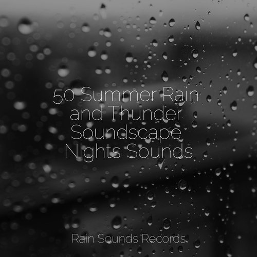 50 Summer Rain and Thunder Soundscape Nights Sounds