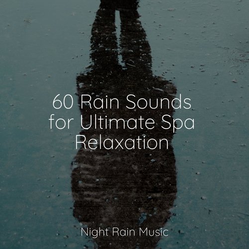 Rain, Storm and Thunder cover art