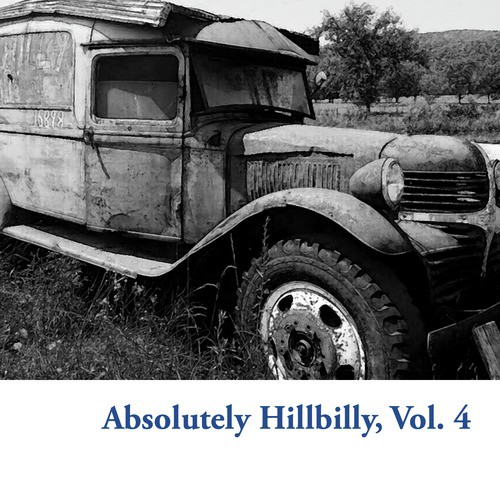 Absolutely Hillbilly, Vol. 4
