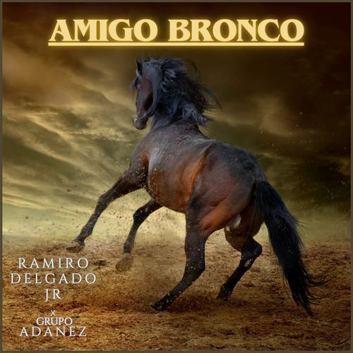 Amigo Bronco_poster_image