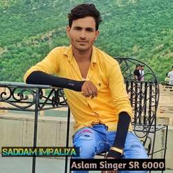 Aslam Singer SR 6000-IV4RRDxCUQY