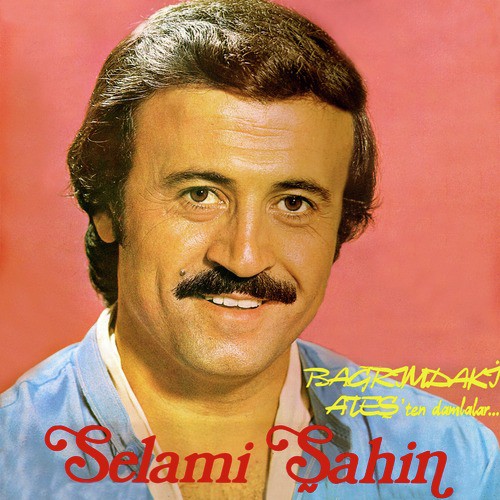 Her Şeyim Oldun cover art
