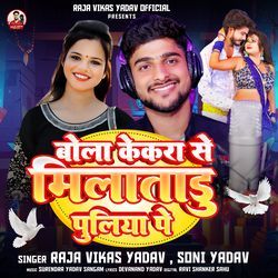 Bola Kekra se Milatadu Puliya Pe