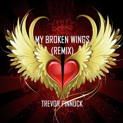 Broken Wings (Remix)_poster_image