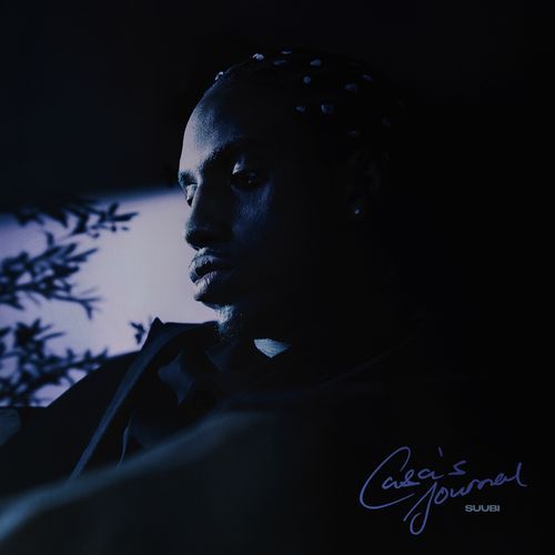 Customs cover art