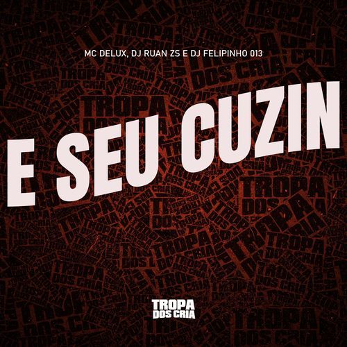 E SEU CUZIN_poster_image