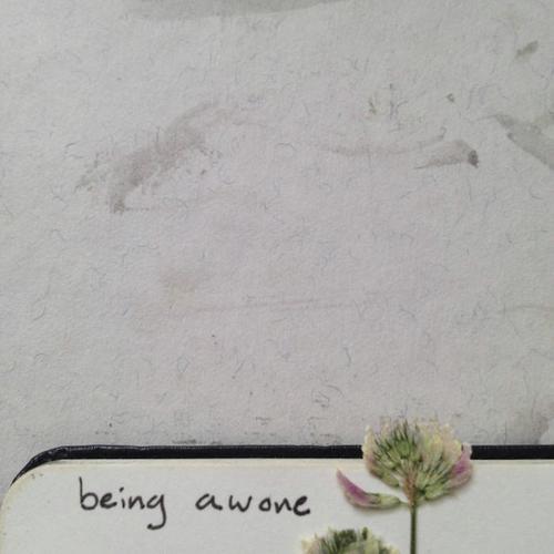 Embrace cover art