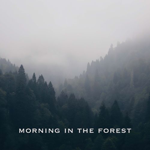 Morning in the Forest
