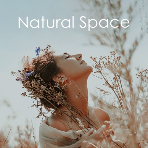 Natural Space: Bring the Sounds of Nature into Your Home and Just Relax_poster_image