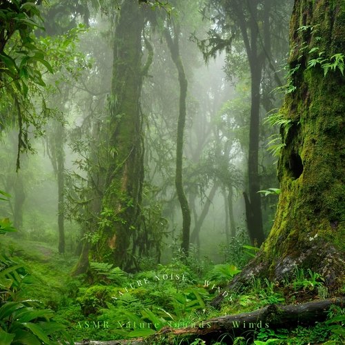 Nature Noise – Winds cover art