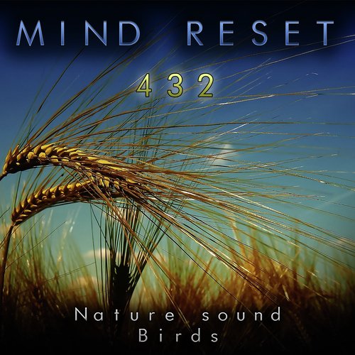 Nature sound: birds