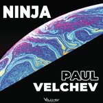 Ninja artwork