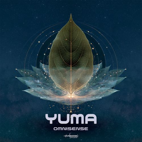 Omnisense