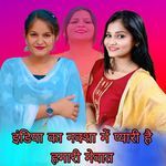 इंडिया का नक्शा में प्यारी है हमारी मेवात