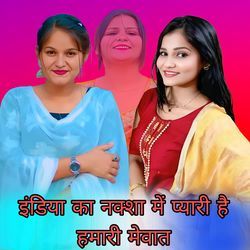 इंडिया का नक्शा में प्यारी है हमारी मेवात