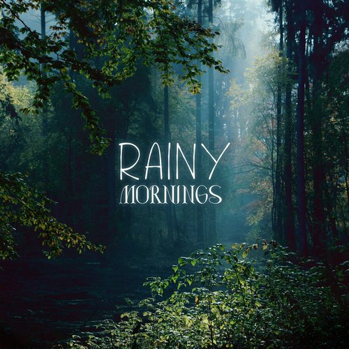 Rainy Mornings: Moody Ambience From Relaxing Forests_poster_image