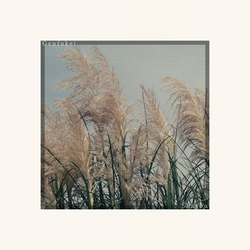 Shayou cover art