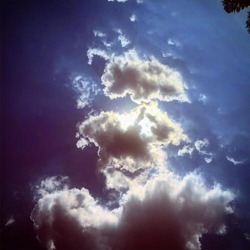 SolVedz cover art