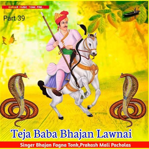 Teja Baba Bhajan Lawnai