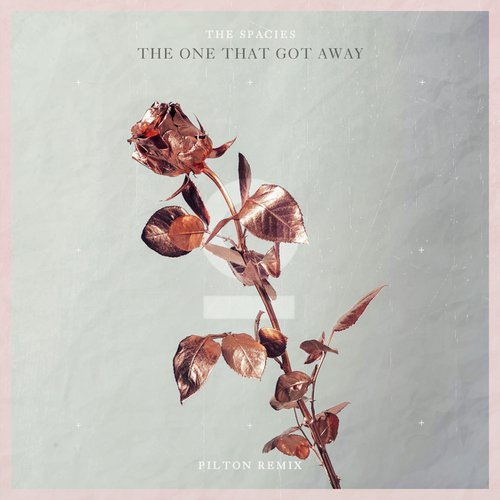The One That Got Away (Pilton Remix)