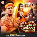 Tor Pagla Hau Mahadev Ke Pujariya Ge Chaudi