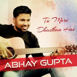 Tu Meri Dhadkan Hai-SThSZDpyGlk