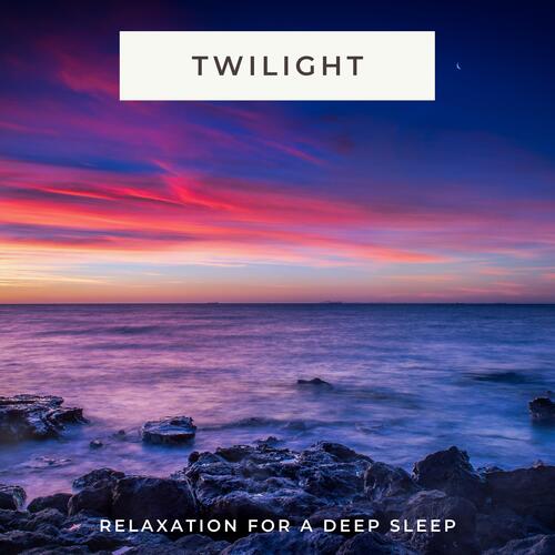 Twilight Meditation cover art