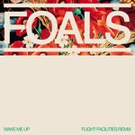 Wake Me Up (Flight Facilities Remix) (Flight Facilities Remix)