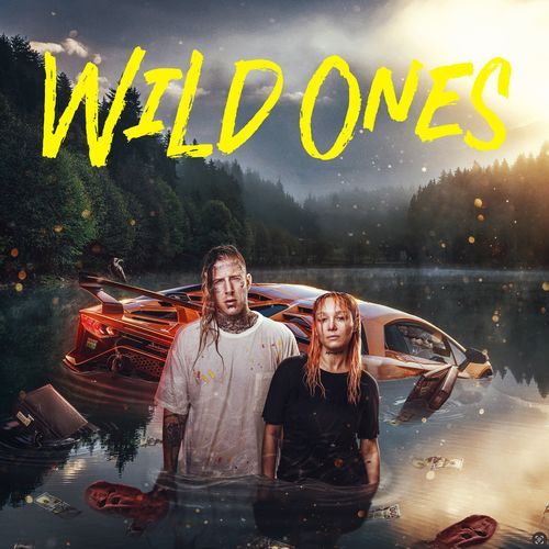 Wild Ones_poster_image