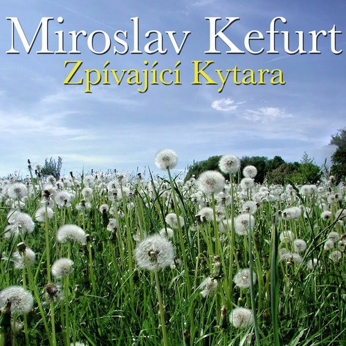 Zpívající Kytara_poster_image