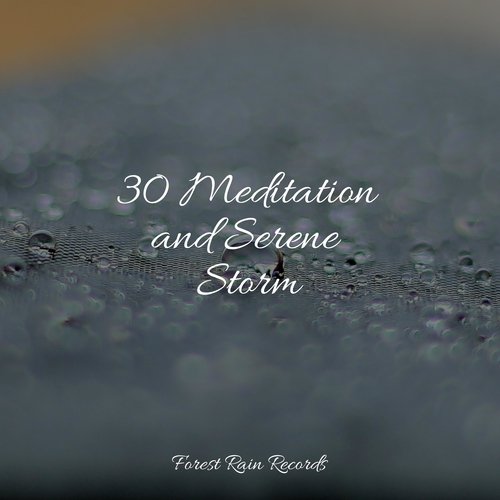 30 Meditation and Serene Storm