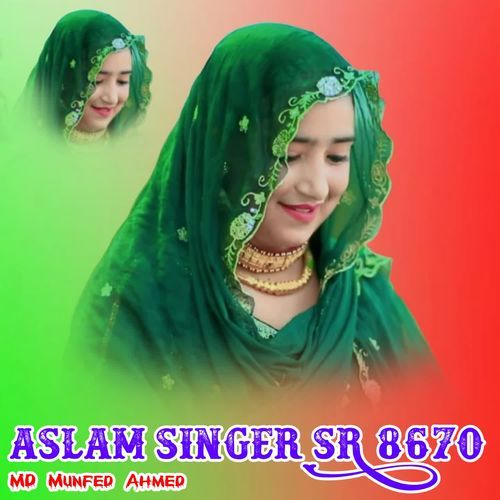 Aslam Singer SR 8670